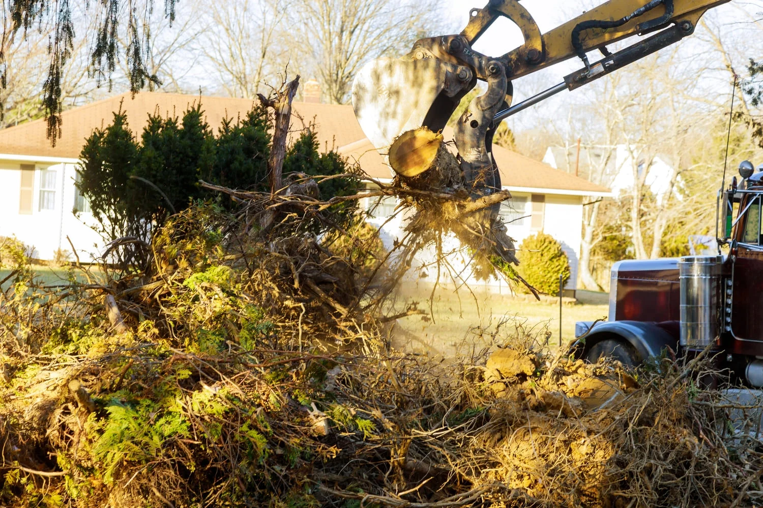 tree removal in memphis