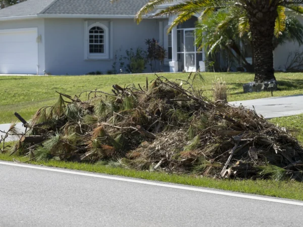 tree debris cleanup in Memphis