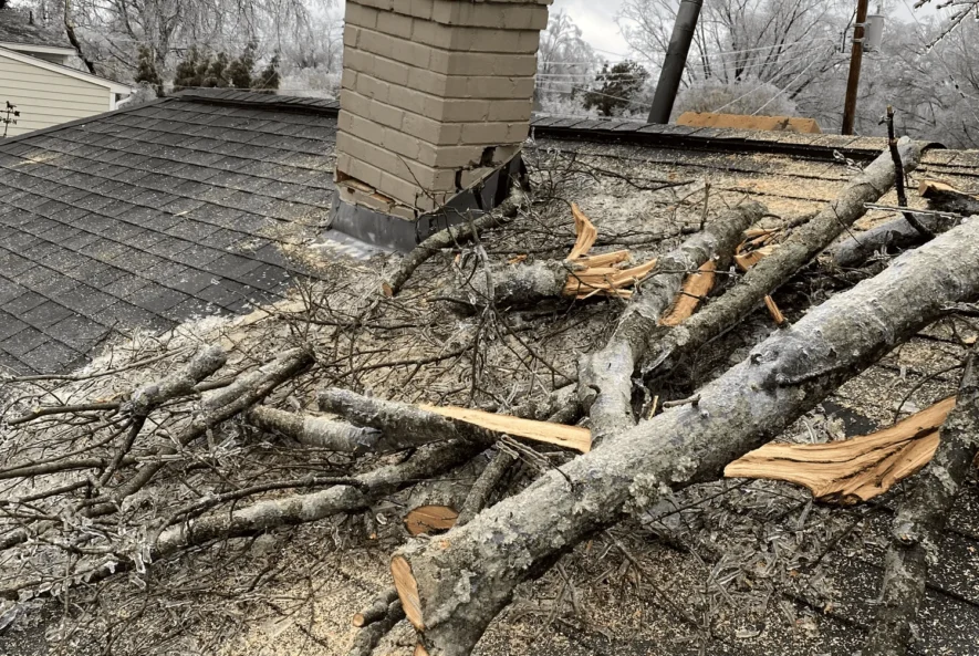 storm damaged tree remova