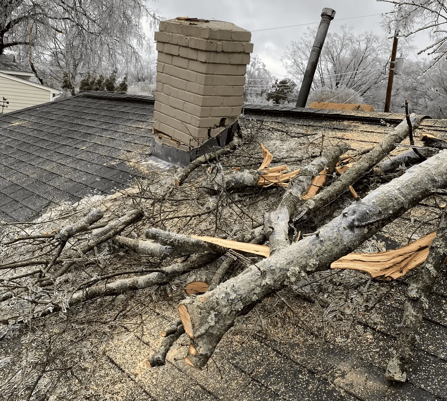 storm damaged tree remova