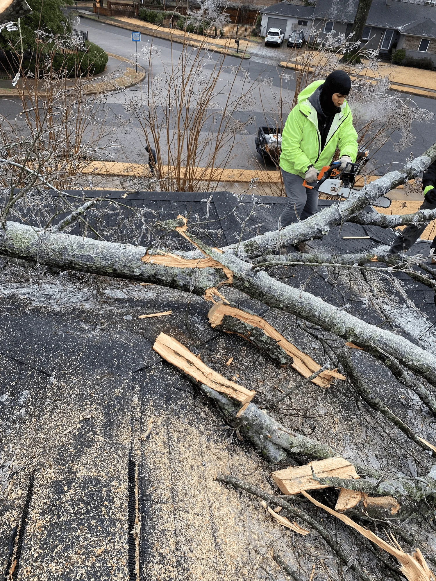storm damaged tree removal