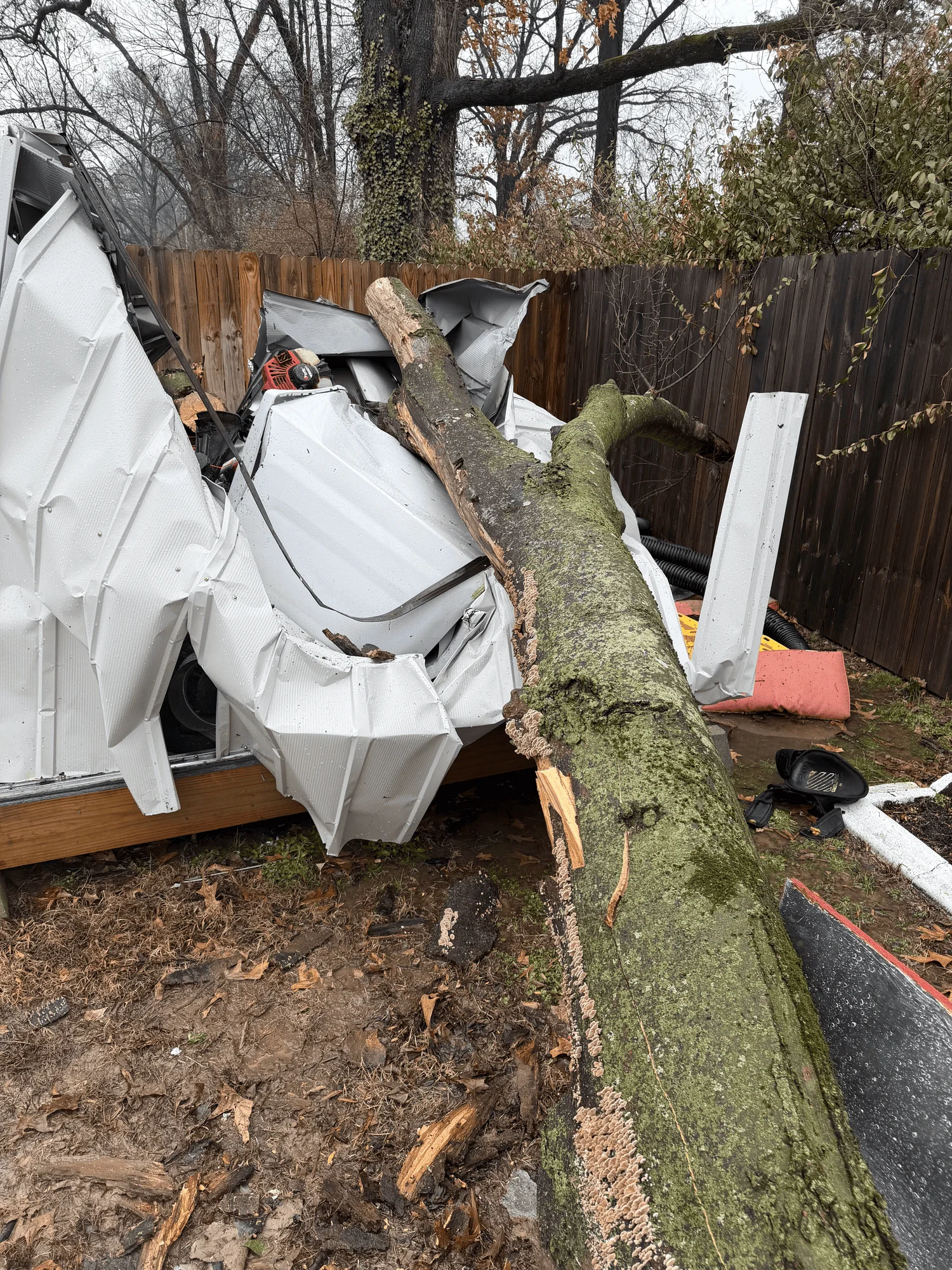 storm damaged tree removal