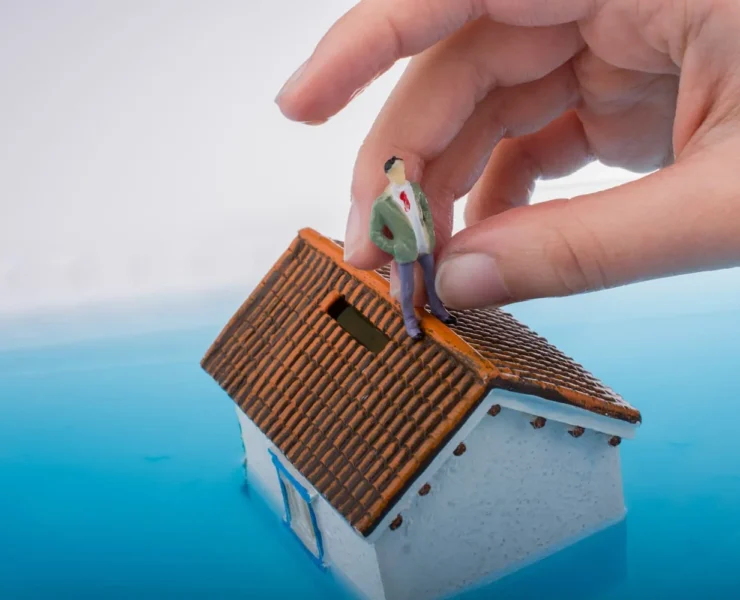 Insurance Cover Roof Damage in