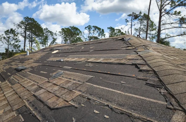 Signs You Need Roof Repair in Memphis TN Before It Gets Worse
