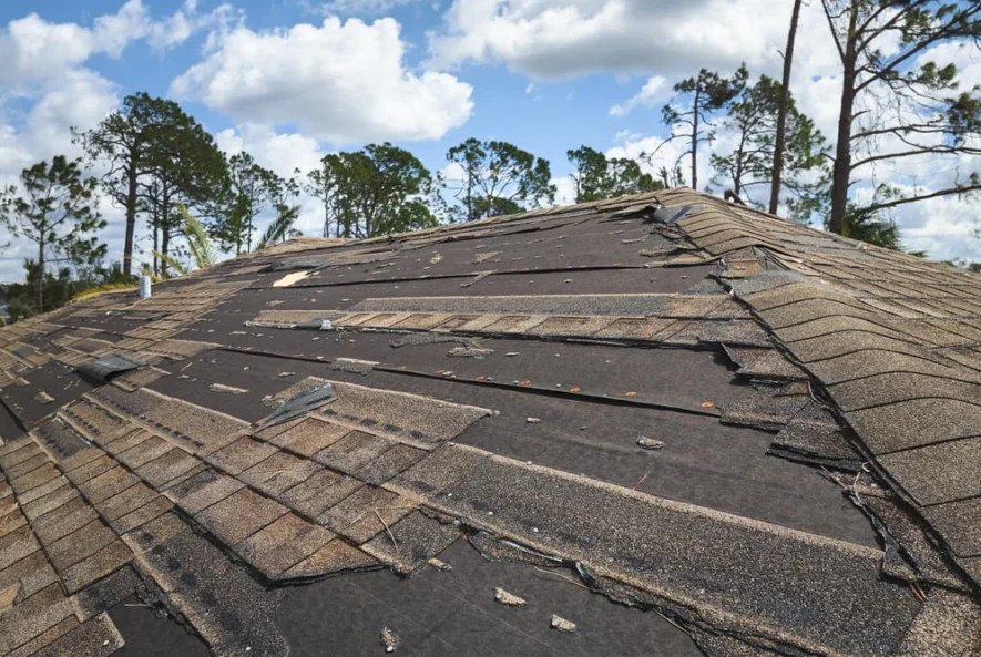 Signs You Need Roof Repair