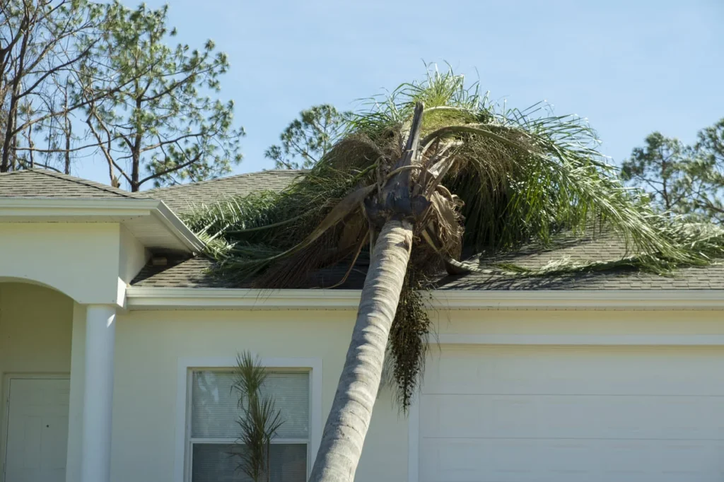 storm damage to your roof