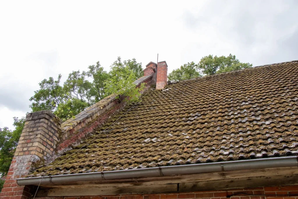 common roofing problems in Memphis homes