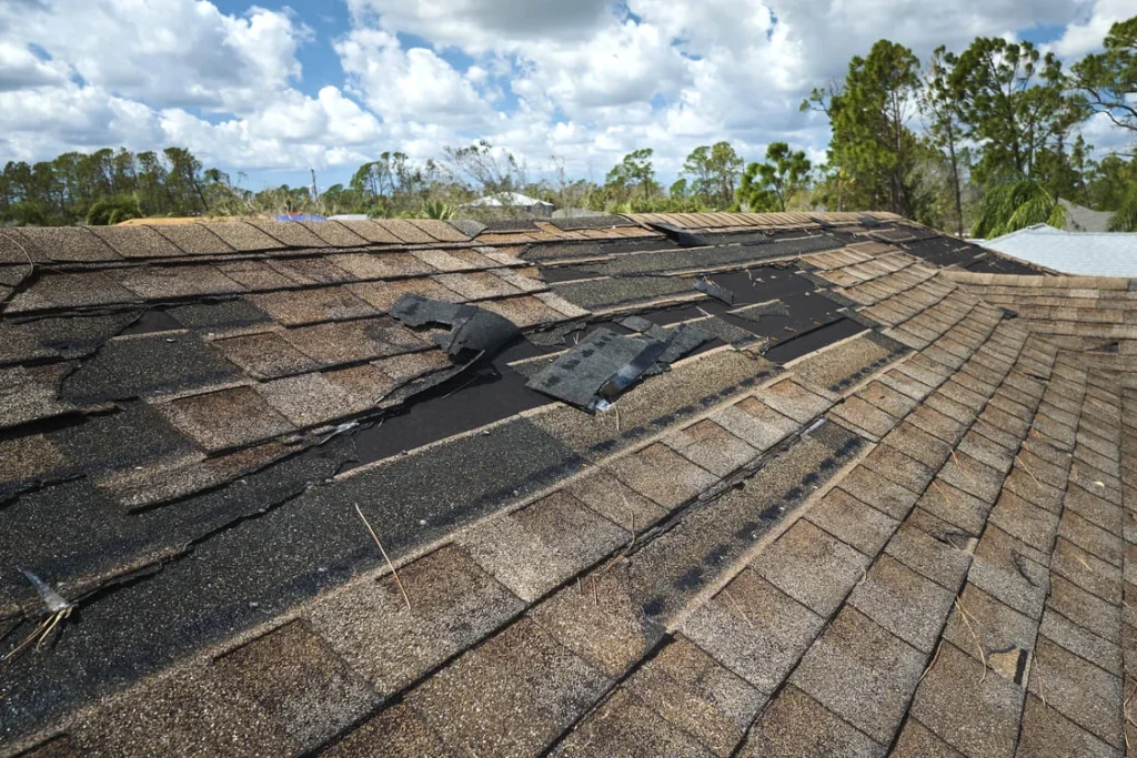 How Often Should You Have Your Roof Inspected