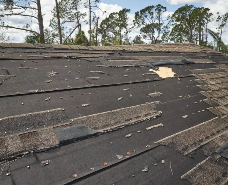 how insurance adjusters inspect roof damage